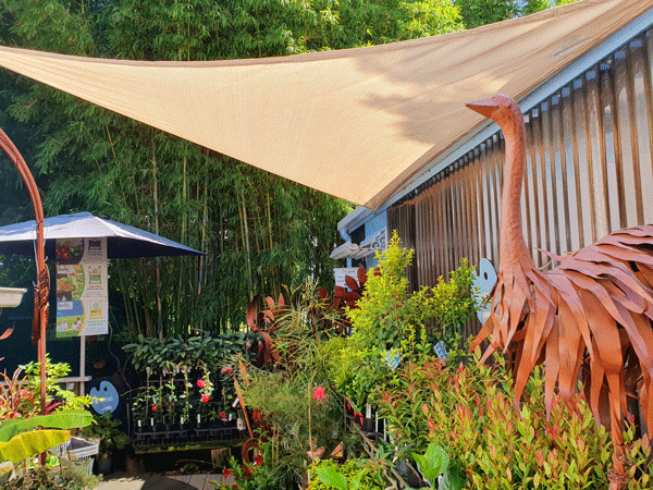 Large metal Emu in the Grow Plant Nursery Garden