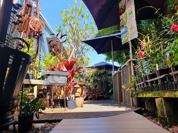 Wind chimes and potted plants