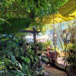 promoting sustainable bribie island gardening